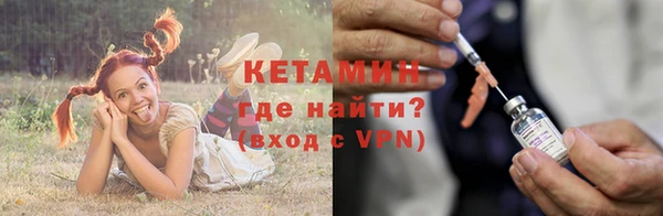 ALPHA PVP Остров