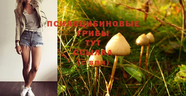 ALPHA PVP Остров