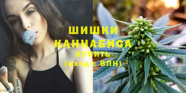 винт Бородино