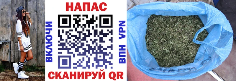 закладки  Тайга  Конопля марихуана 